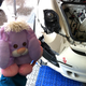 Illustration for article titled If All Else Fails, Blame Fluffy Bunny For Your Race Cars Problems
